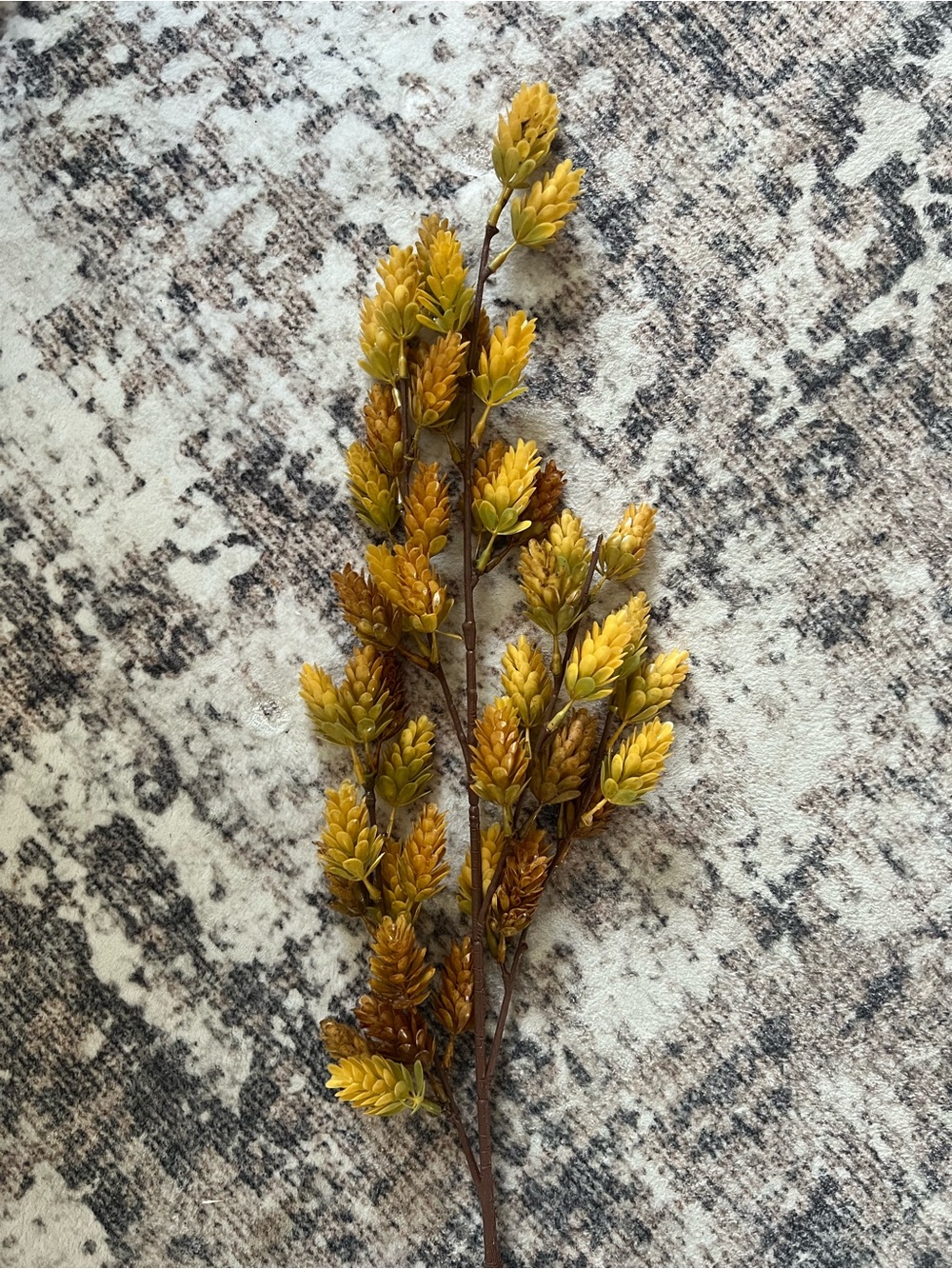 Threshold Hops Fall Branch